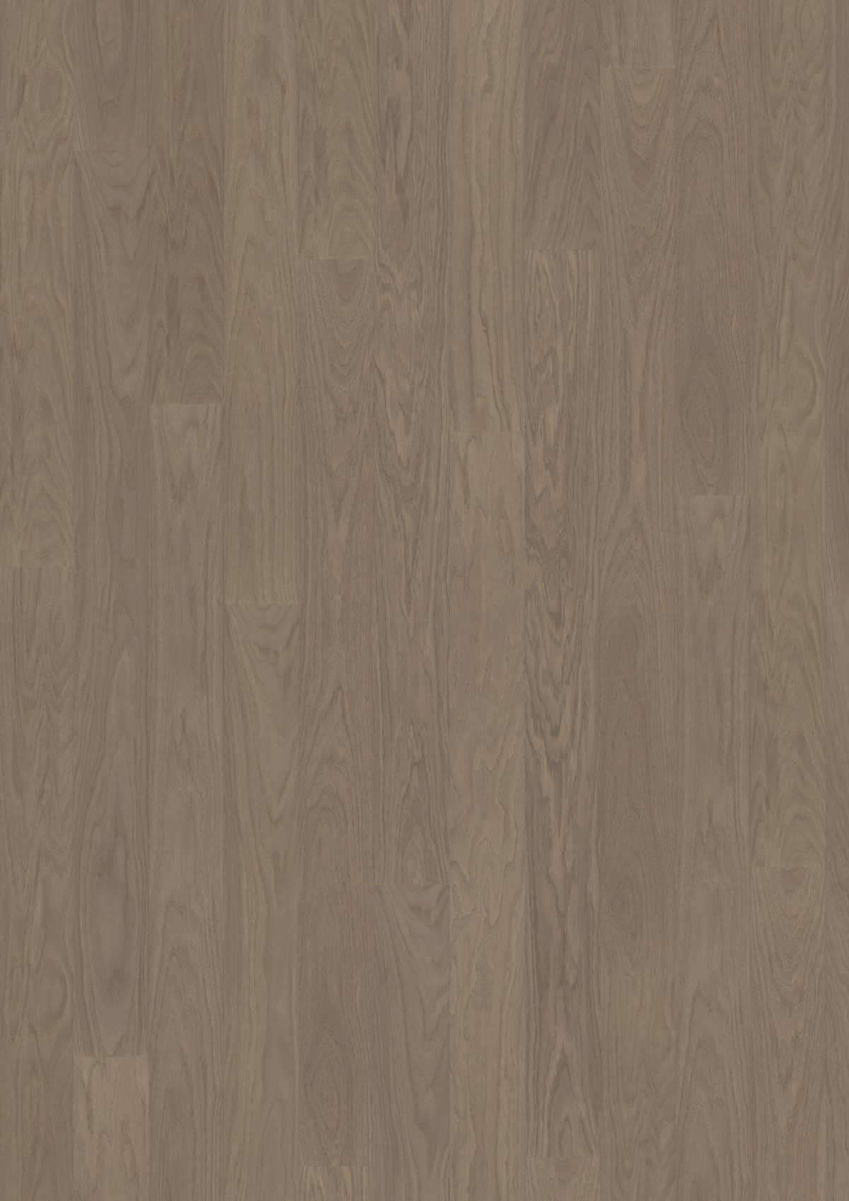 Close up of Kahrs Earl Grey Wide Prefinished Hardwood.