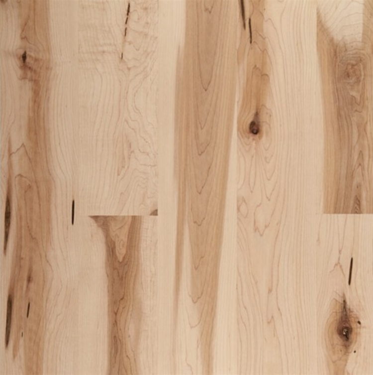 Close up of Maple Character Solid Unfinished Hardwood.